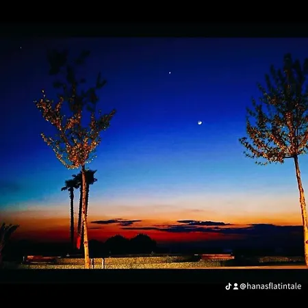 Beachfront Flat דירה